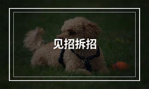 见招拆招