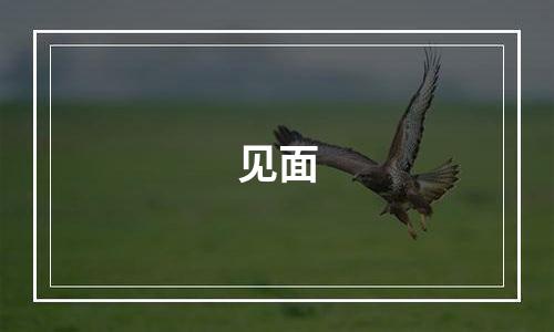 见面