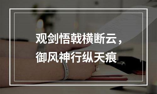 观剑悟戟横断云，御风神行纵天痕