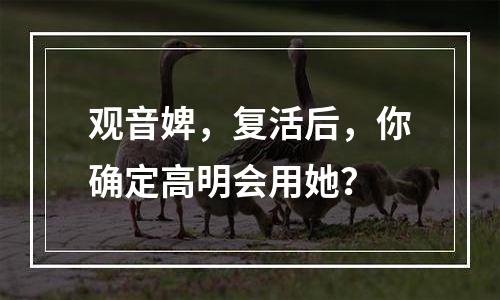 观音婢，复活后，你确定高明会用她？