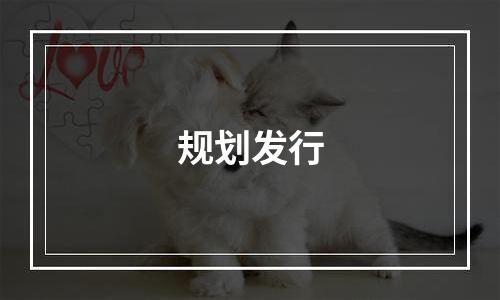 规划发行