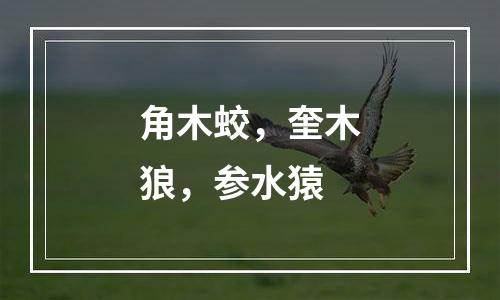 角木蛟，奎木狼，参水猿
