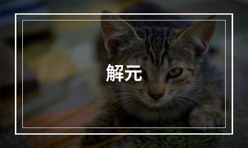 解元
