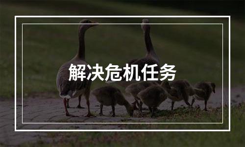 解决危机任务