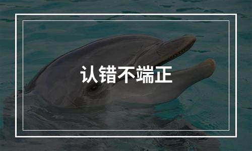 认错不端正