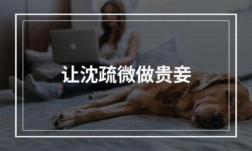 让沈疏微做贵妾