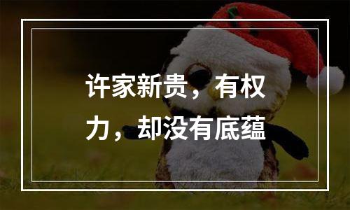 许家新贵，有权力，却没有底蕴