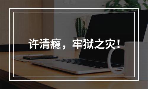 许清瘾，牢狱之灾！