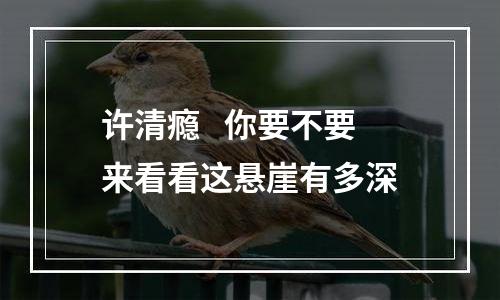许清瘾   你要不要来看看这悬崖有多深