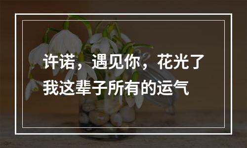 许诺，遇见你，花光了我这辈子所有的运气