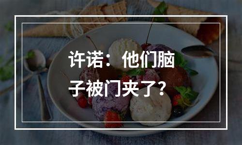 许诺：他们脑子被门夹了？