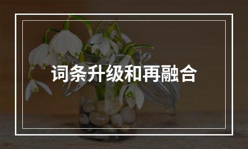 词条升级和再融合