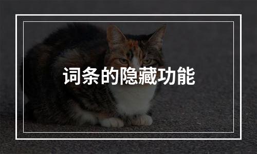 词条的隐藏功能