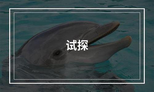 试探