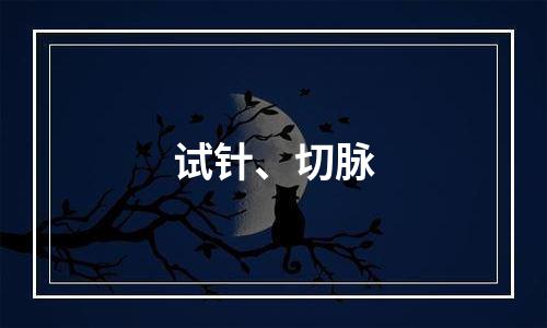 试针、切脉