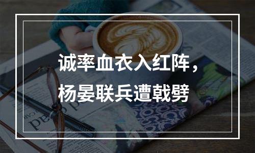 诚率血衣入红阵，杨晏联兵遭戟劈