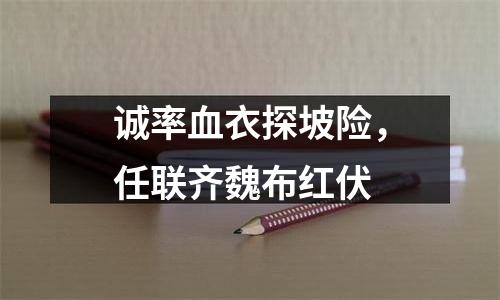 诚率血衣探坡险，任联齐魏布红伏