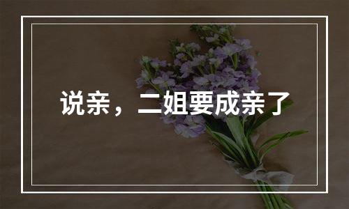 说亲，二姐要成亲了