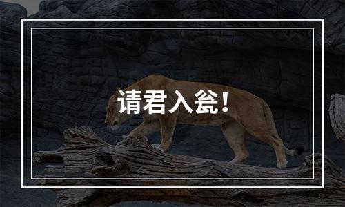 请君入瓮！