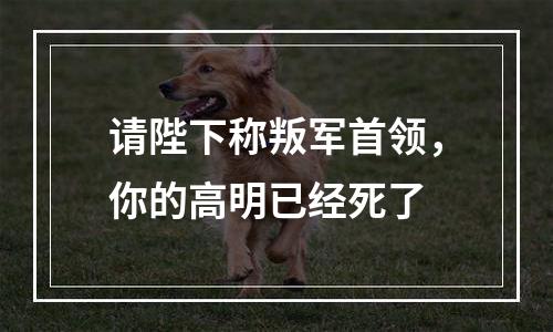 请陛下称叛军首领，你的高明已经死了