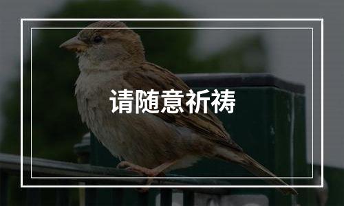 请随意祈祷