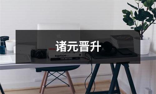 诸元晋升