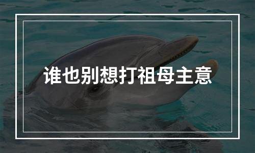 谁也别想打祖母主意