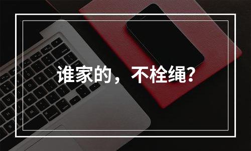 谁家的，不栓绳？