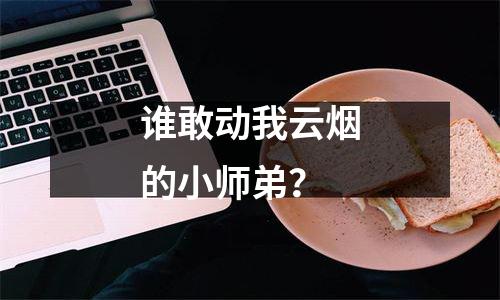 谁敢动我云烟的小师弟？