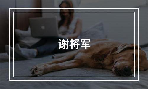 谢将军