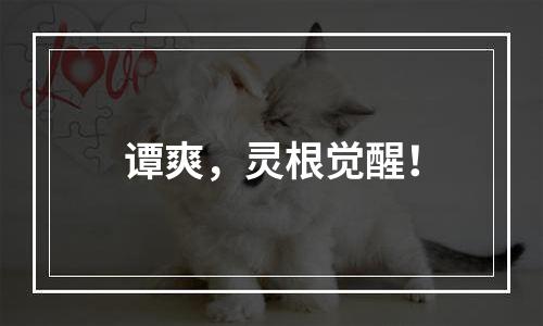 谭爽，灵根觉醒！
