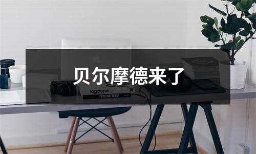 贝尔摩德来了