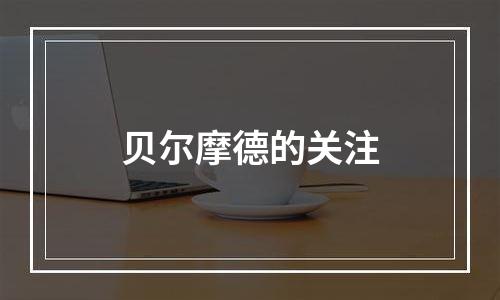 贝尔摩德的关注