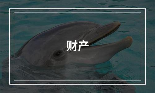 财产