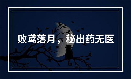 败鸢落月，秘出药无医