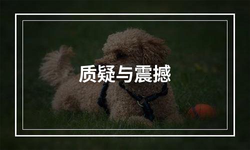 质疑与震撼