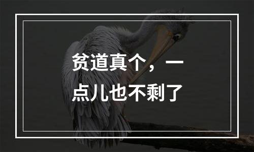 贫道真个，一点儿也不剩了