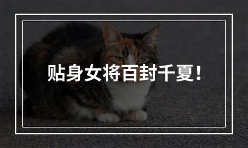 贴身女将百封千夏！