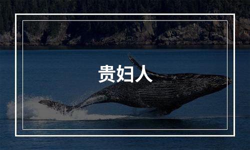 贵妇人