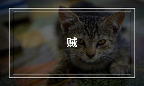 贼