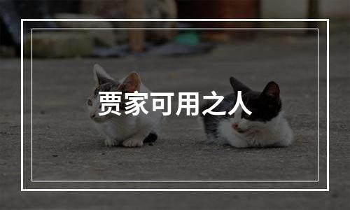 贾家可用之人