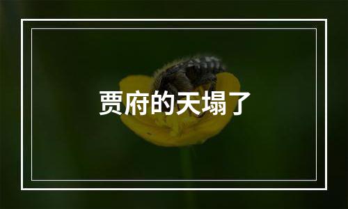 贾府的天塌了