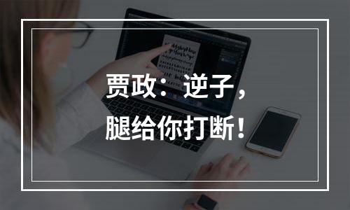 贾政：逆子，腿给你打断！