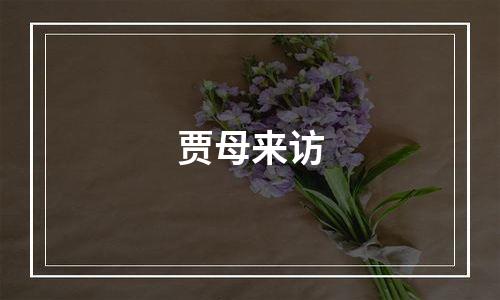 贾母来访