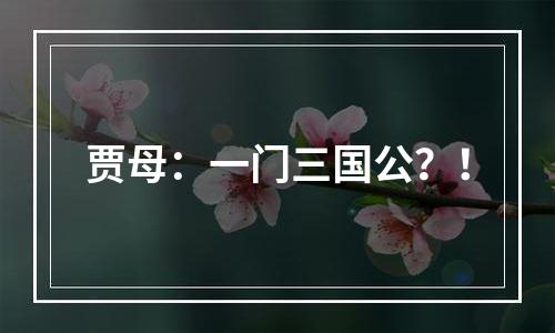 贾母：一门三国公？！