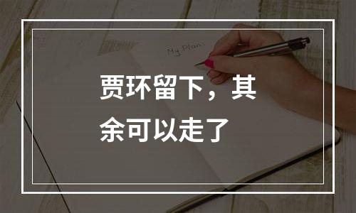 贾环留下，其余可以走了