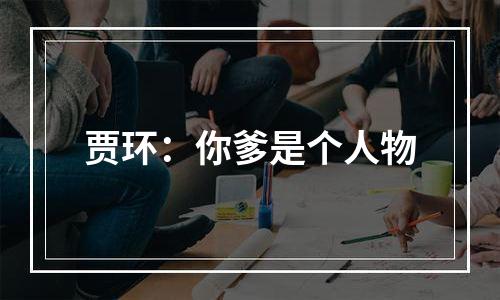 贾环：你爹是个人物