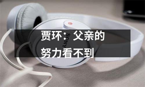 贾环：父亲的努力看不到