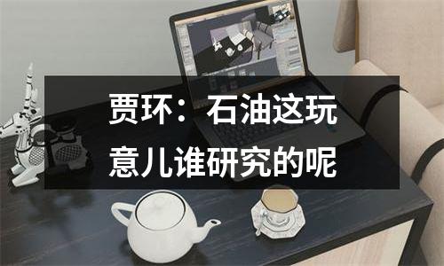 贾环：石油这玩意儿谁研究的呢