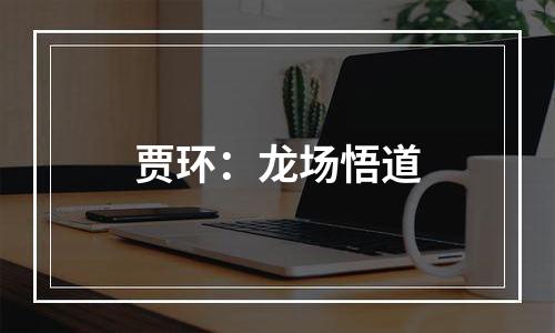 贾环：龙场悟道